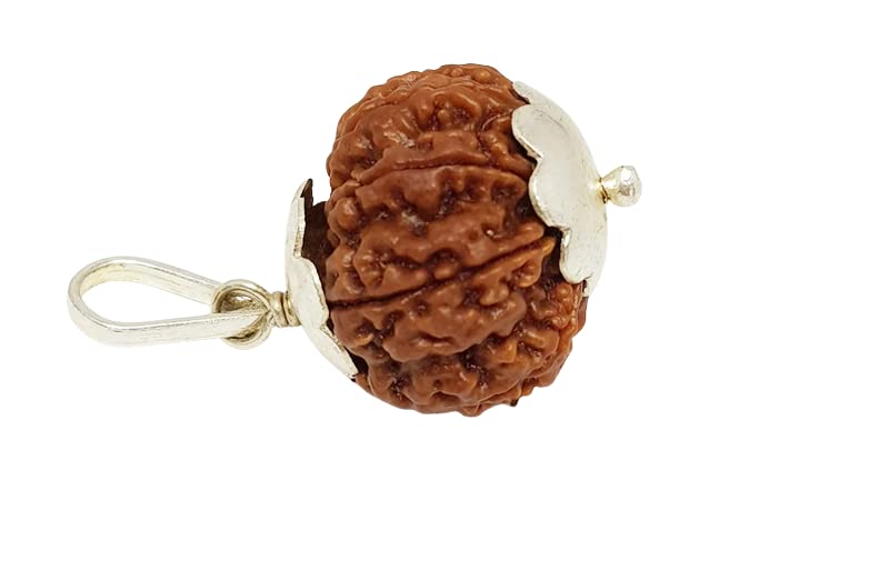 9 Mukhi Rudraksha Natural Nepal 100% Natural