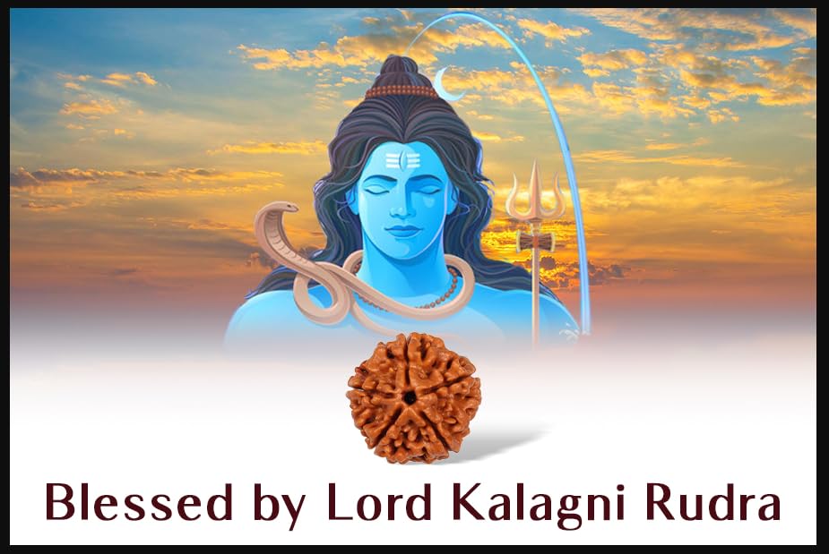 5 Mukhi Rudraksha 100% Natural (NEPALI)