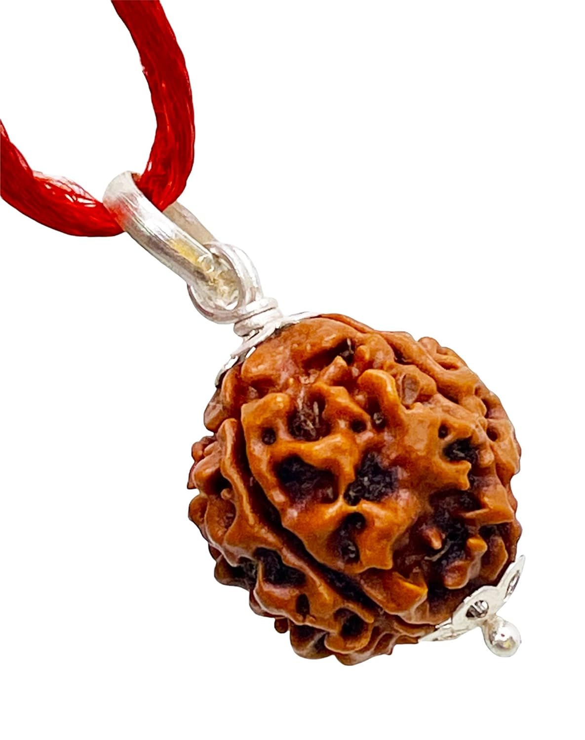 4 Mukhi Rudraksha 100% Natural