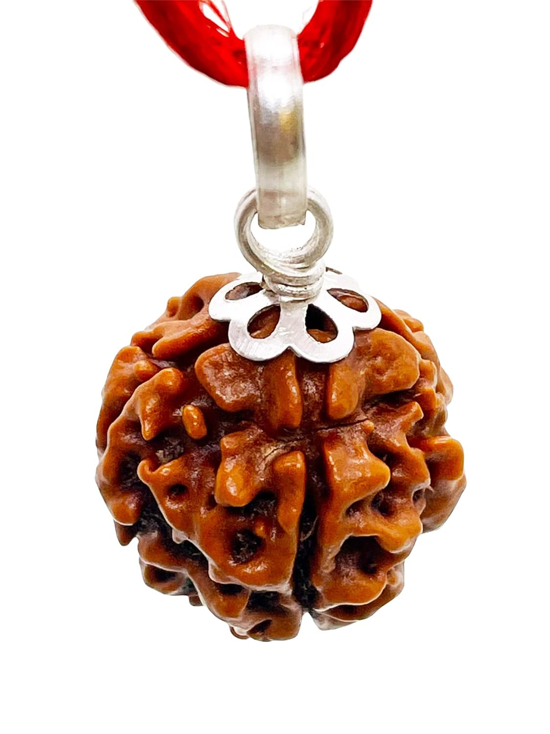 4 Mukhi Rudraksha 100% Natural