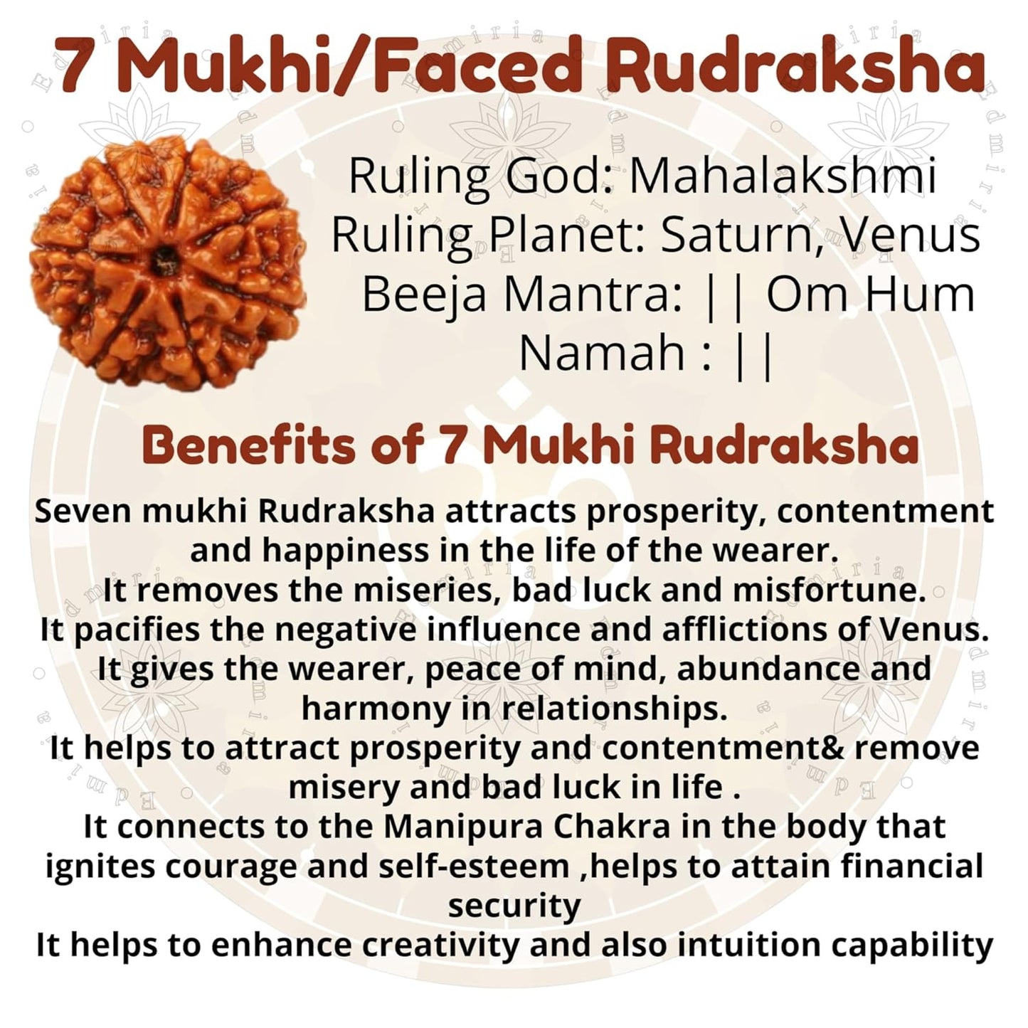 7 Mukhi Rudraksha 100% Natural Lab Tested