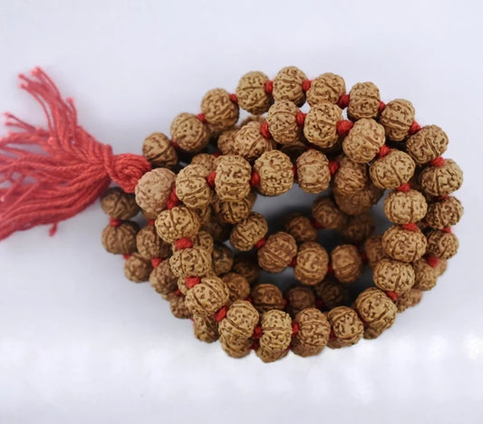 Natural rudraksha jaap mala 9 mukhi