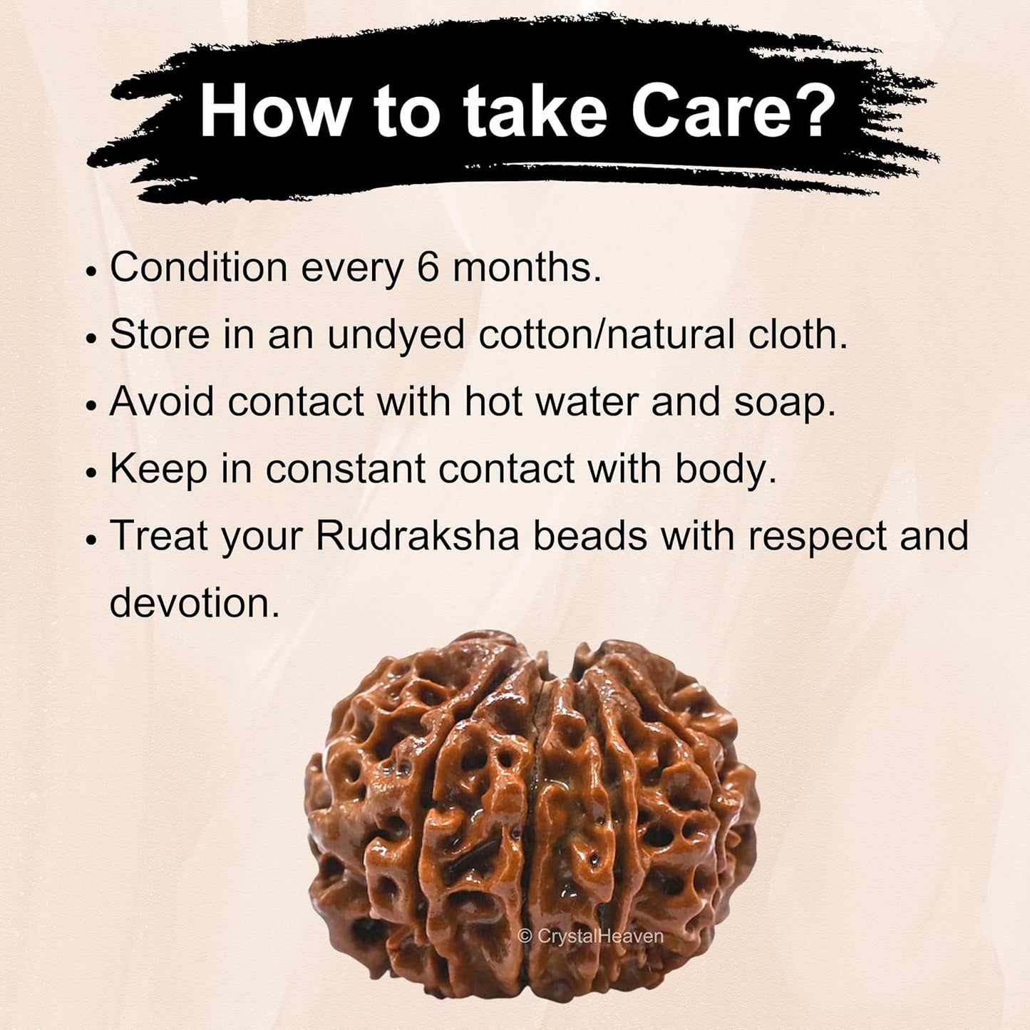 10 Mukhi Rudraksha Natural Nepal 100% Natural