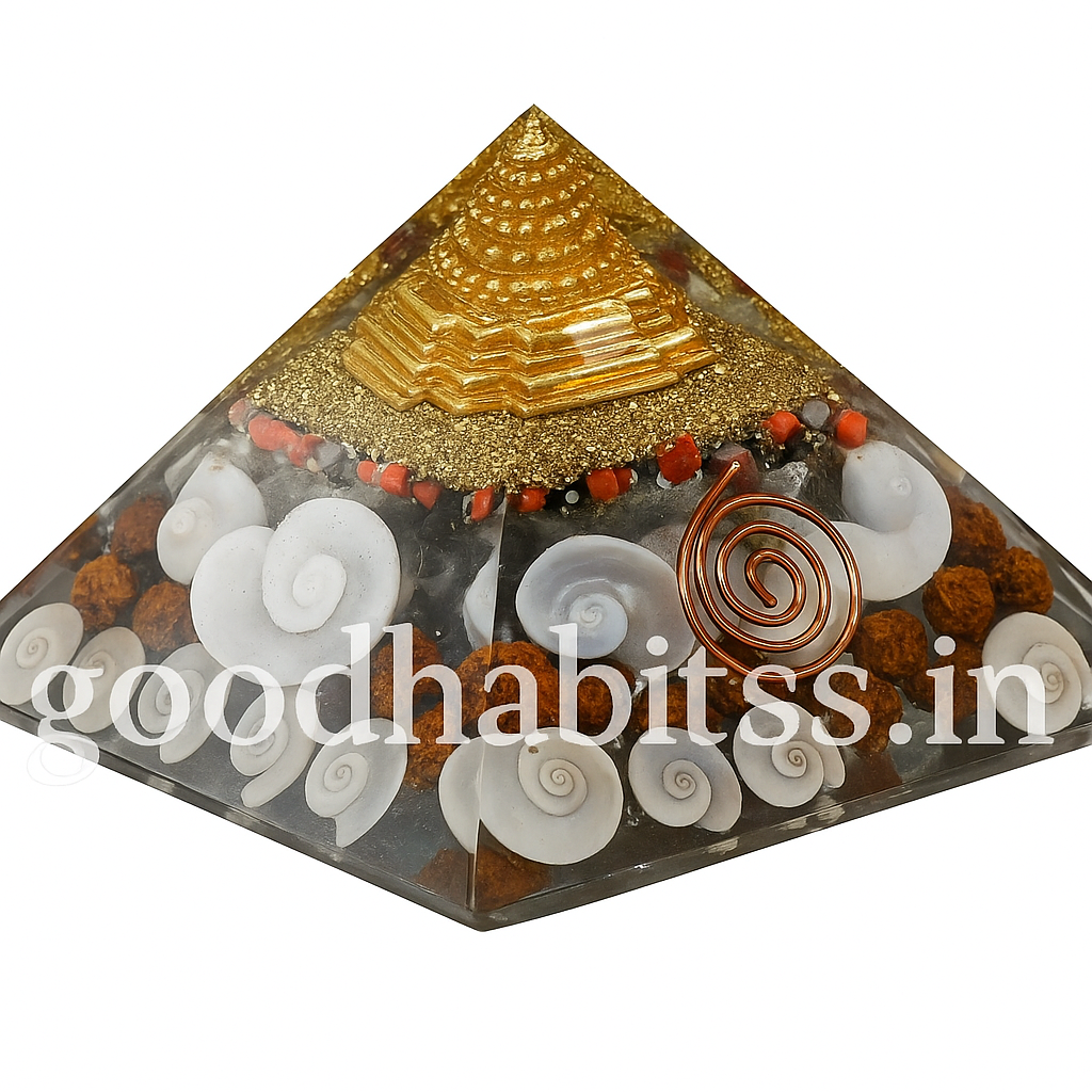 Laxmi Pyramid Original Gomati Chakra
