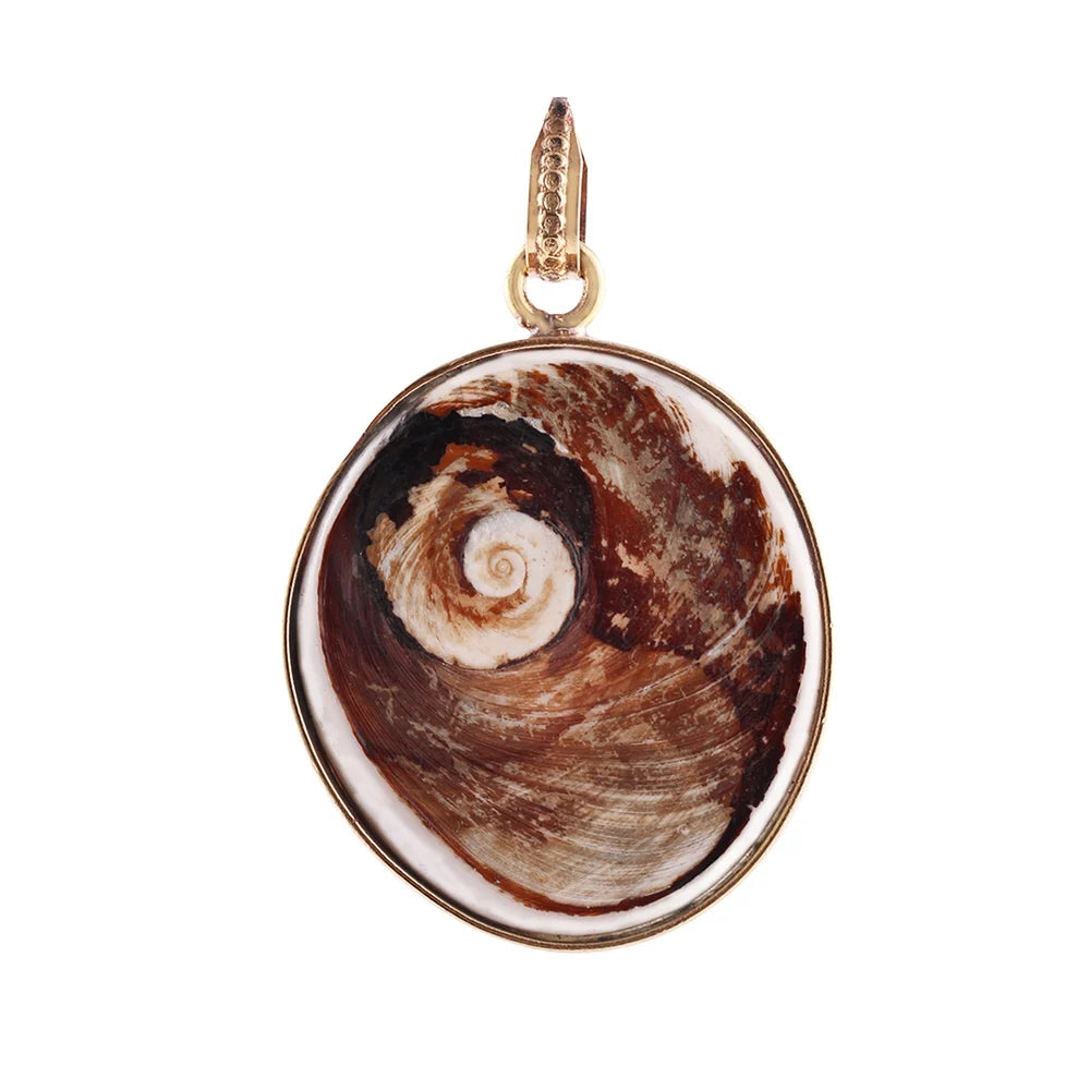 Big Size Natural Gomti Chakra Stone