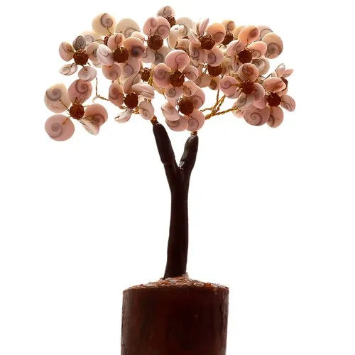 Gomti Chakra Tree with Beads Rudraksha (White and Brown)