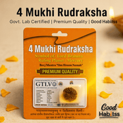 2 to 10 Mukhi Nepali Rudraksha – Certified Spiritual Power Beads - GOOD HABITSS