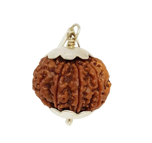9 Mukhi Rudraksha Natural Nepal 100% Natural