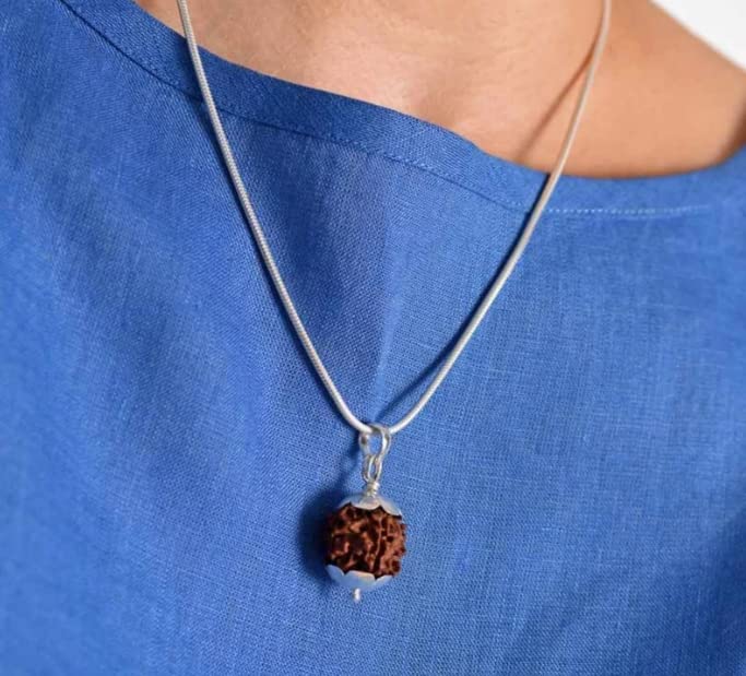 5 Mukhi Nepali Rudraksh 20-24 MM Size (1 KG PACK)