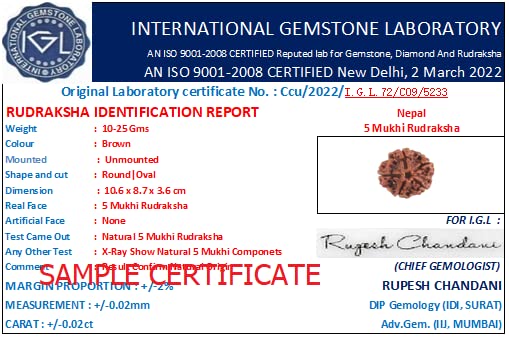 5 Mukhi Rudraksha 100% Natural (NEPALI)