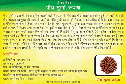 5 mukhi rudraksha size 1kg, Size: 18 mm