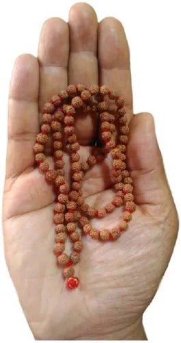 5mm to 10mm Beads Rudraksha Mala - GOOD HABITSS