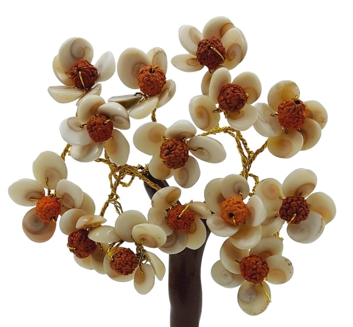 Gomti Chakra Tree with Beads Rudraksha (White and Brown)