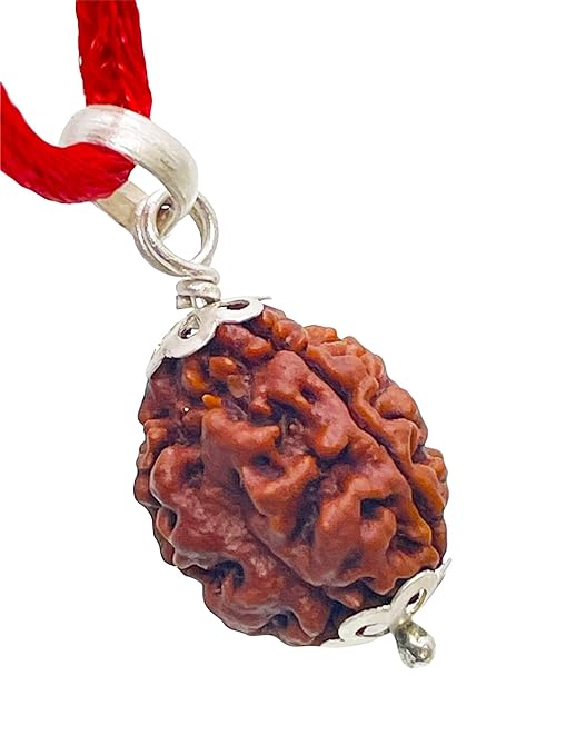 3 Mukhi Rudraksha 100% Natural