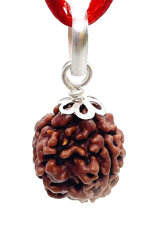 3 Mukhi Rudraksha 100% Natural