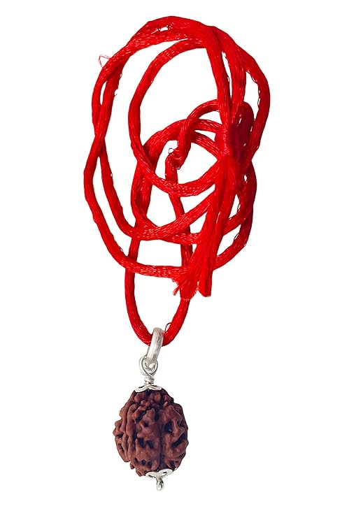 3 Mukhi Rudraksha 100% Natural