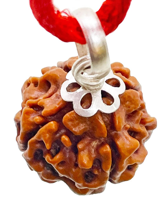 4 Mukhi Rudraksha 100% Natural