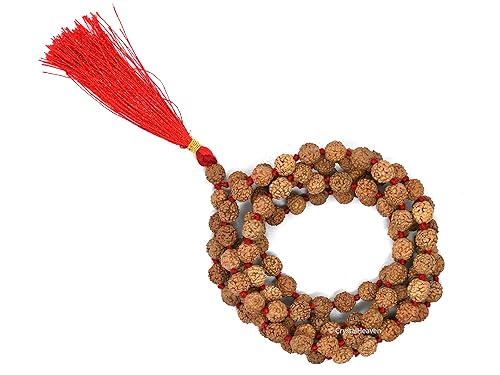 Natural Rudraksha Mala 7-8-9-10 Mukhi Mala