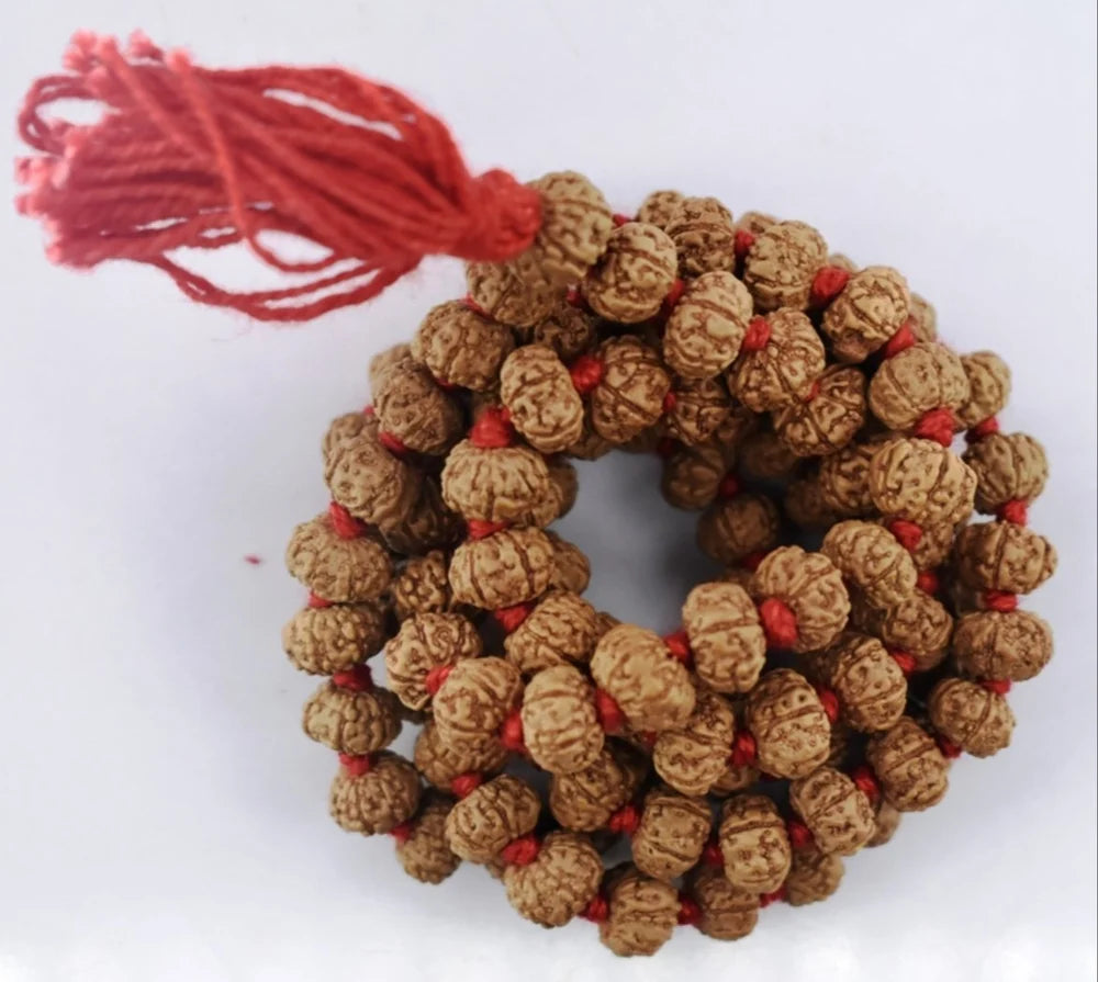 Natural rudraksha jaap mala 9 mukhi