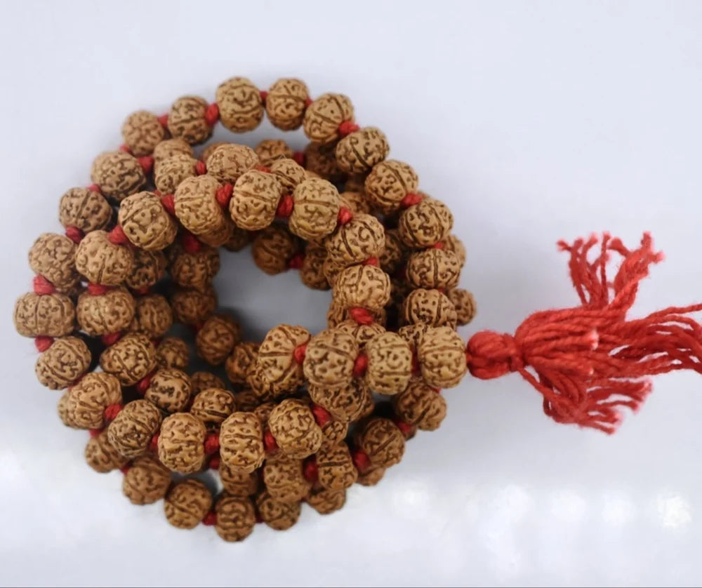 Natural rudraksha jaap mala 9 mukhi
