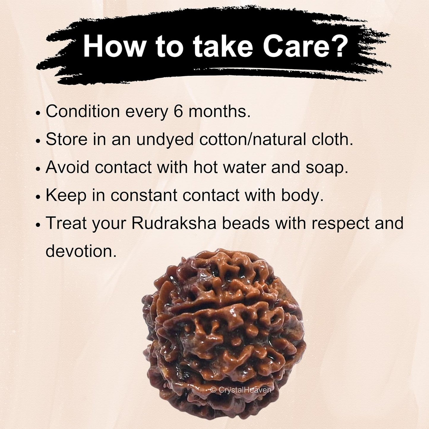 6 Mukhi Rudraksha 100% Natural