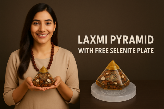 Laxmi Pyramid Original Gomati Chakra