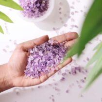 Amethyst Chips Stone - GOOD HABITSS