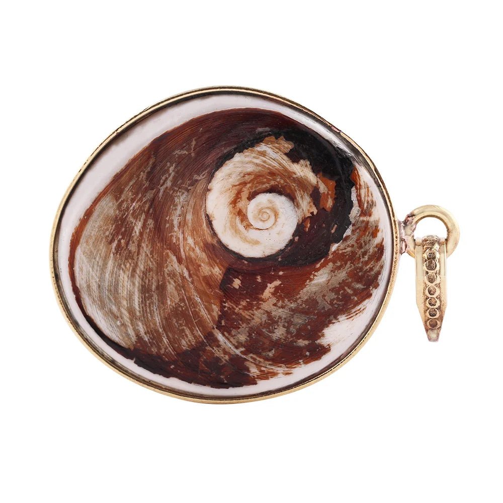 Big Size Natural Gomti Chakra Stone - GOOD HABITSS