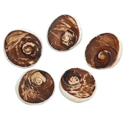 Big Size Natural Gomti Chakra Stone - GOOD HABITSS