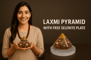 Laxmi Pyramid Original Gomati Chakra - GOOD HABITSS