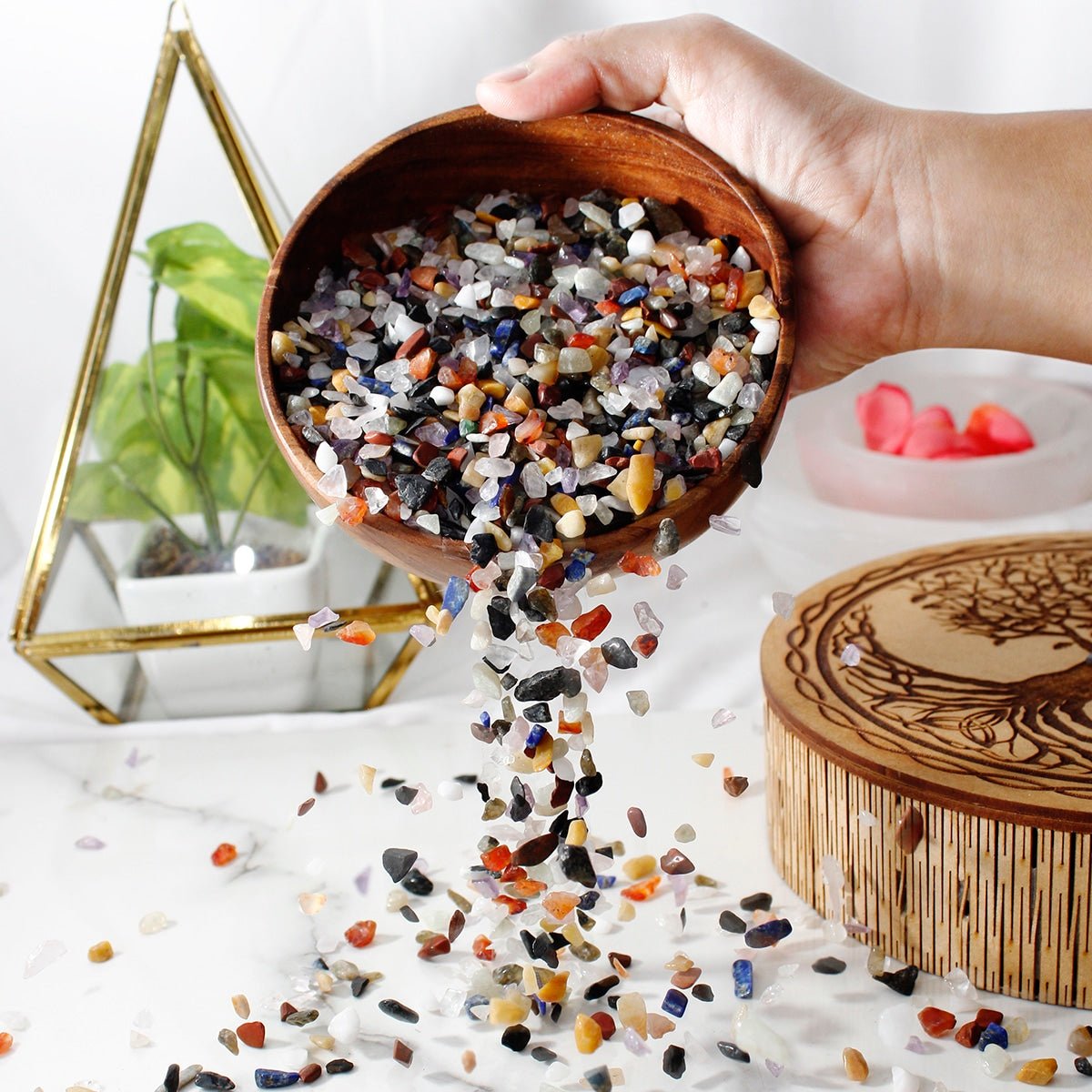 Multicolor Chips Stone - GOOD HABITSS