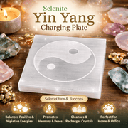 Selenite Yin Yang Charging Plate - GOOD HABITSS