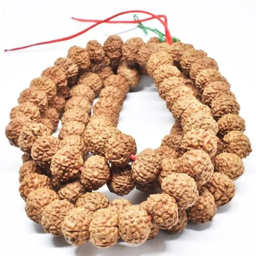 Natural Rudraksha Mala 7-8-9-10 Mukhi Mala