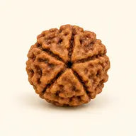 Single Seed Beads bead — illustrative image